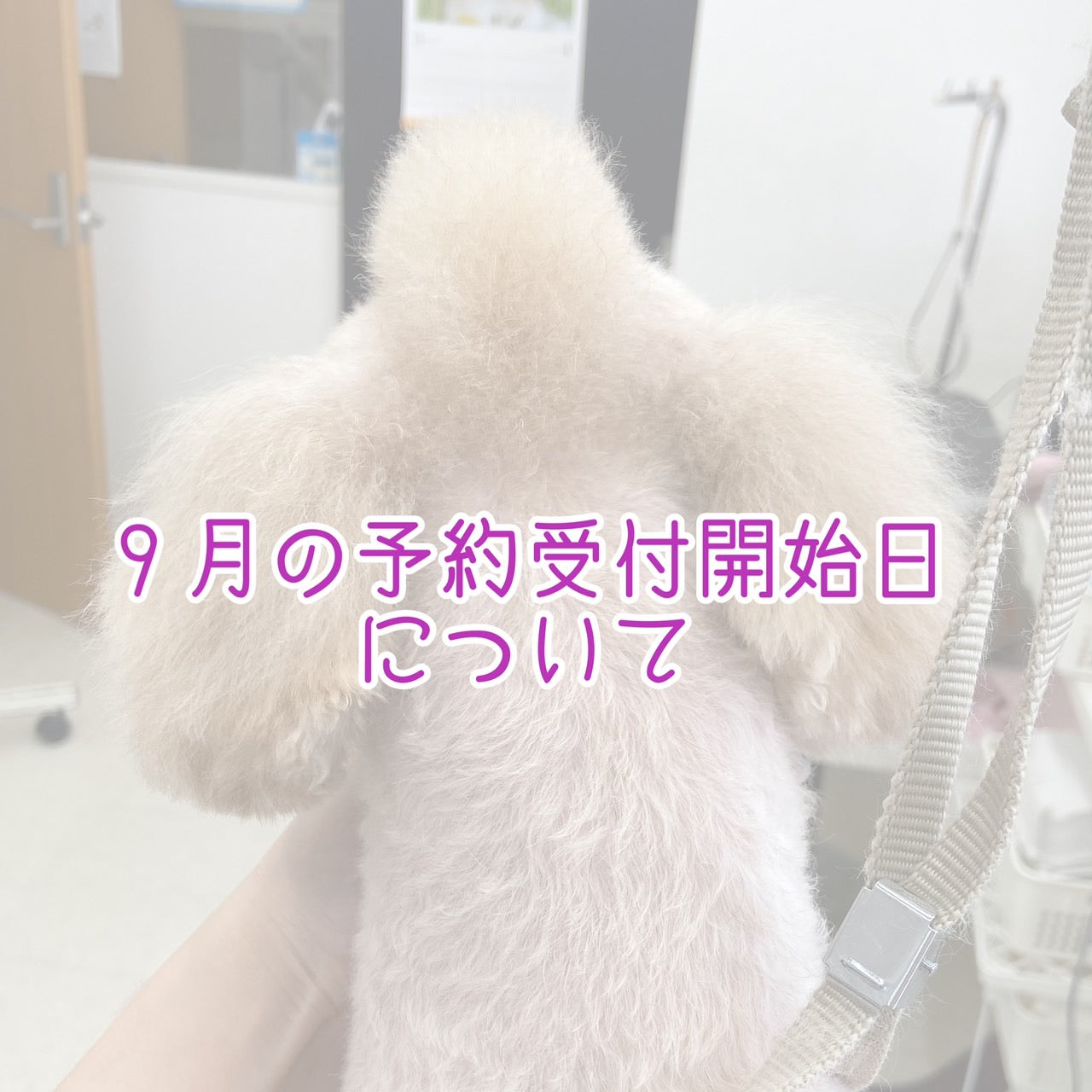 9月の予約受付開始日について