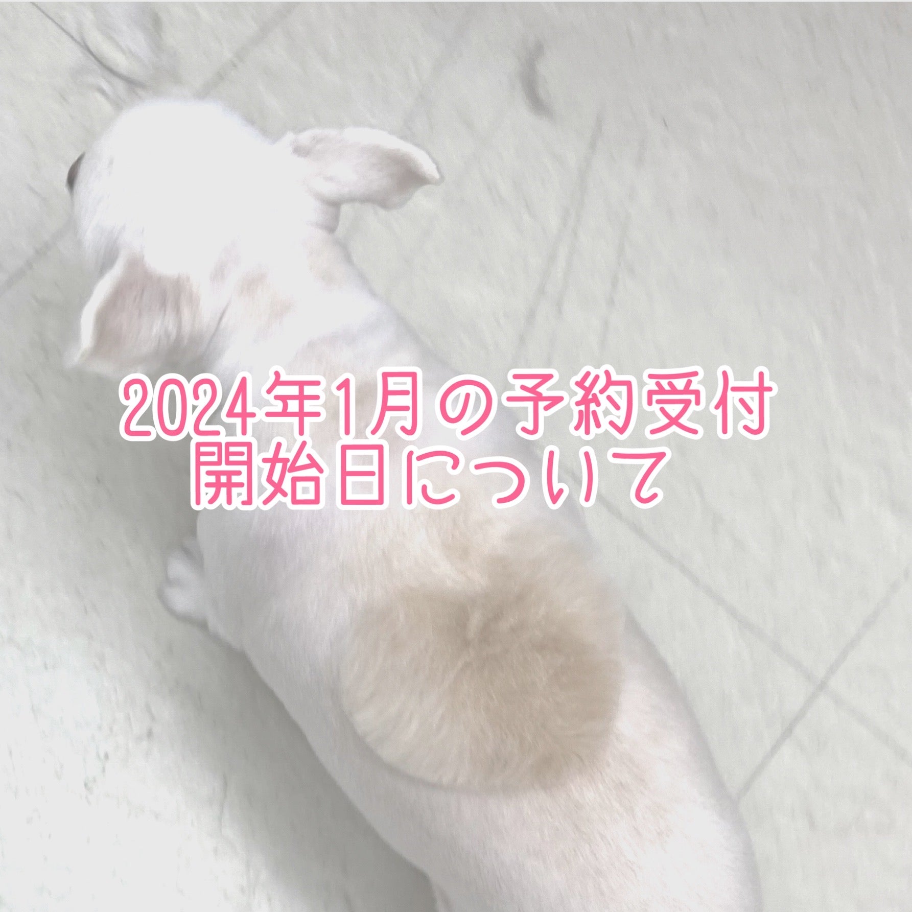 2024年1月の予約開始日について