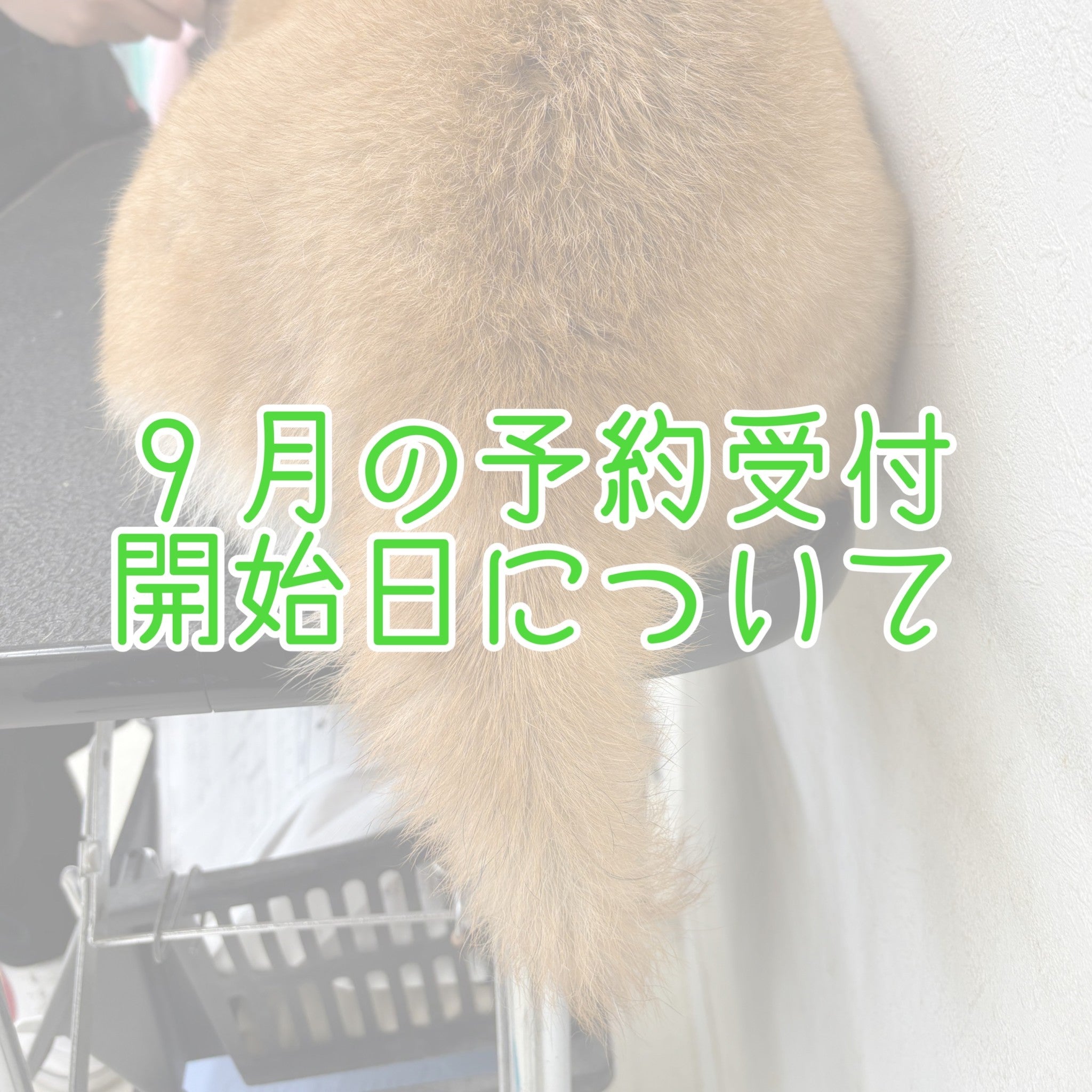 2024年9月の予約開始日について