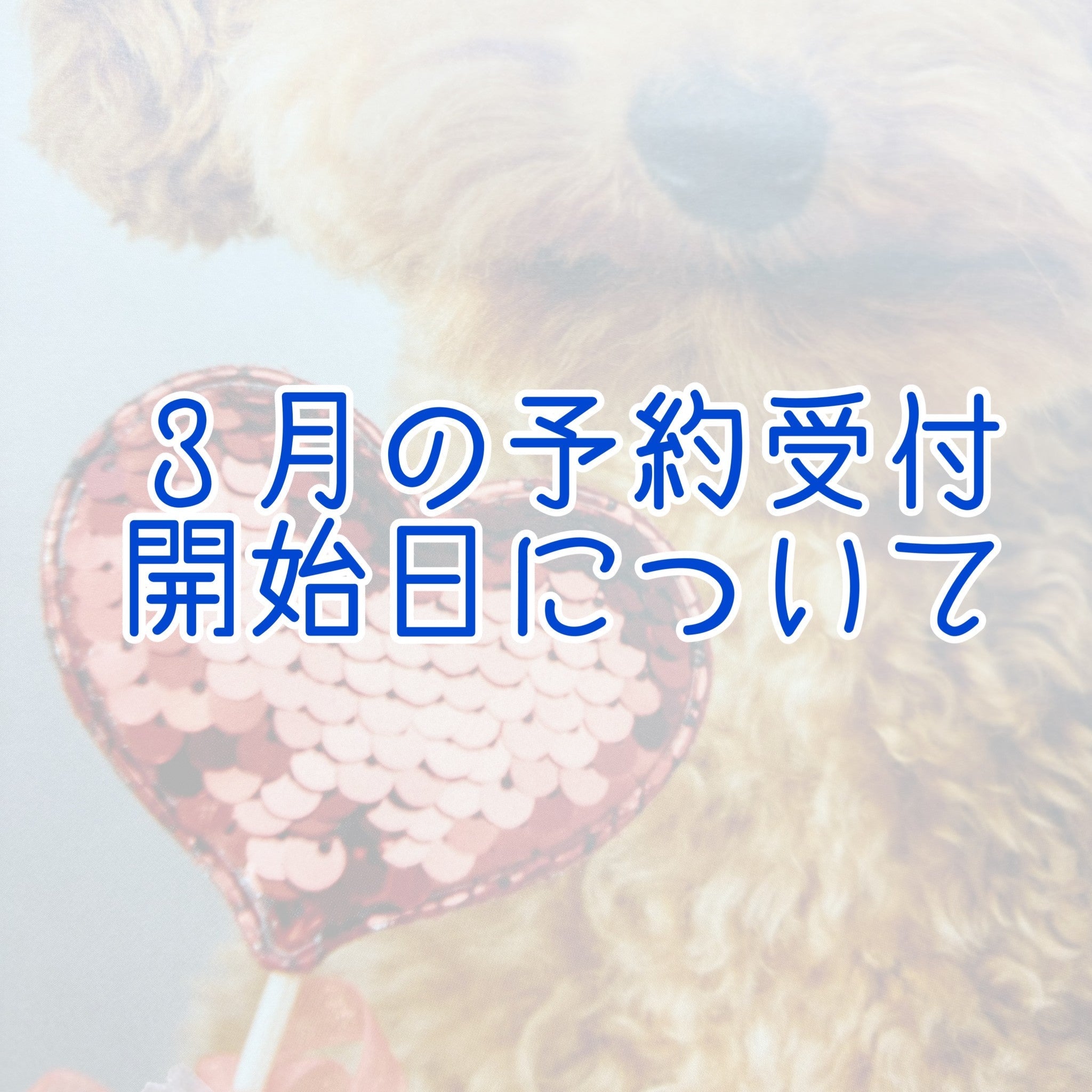 2025年3月の予約開始日について