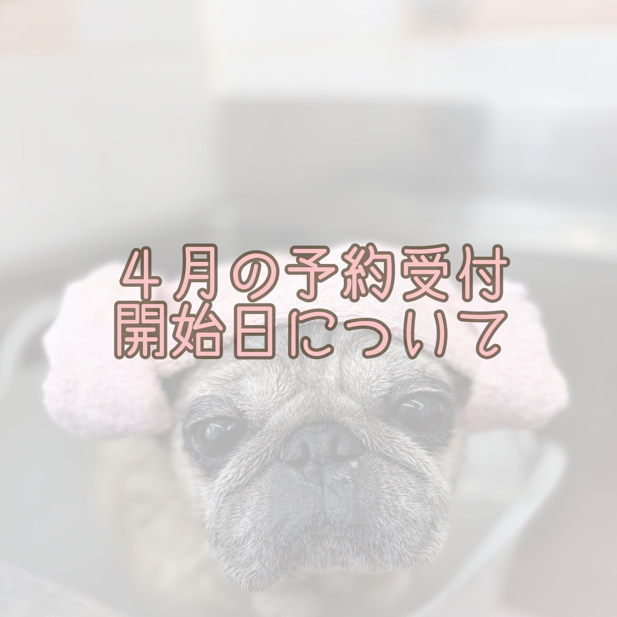 2025年4月の予約開始日について