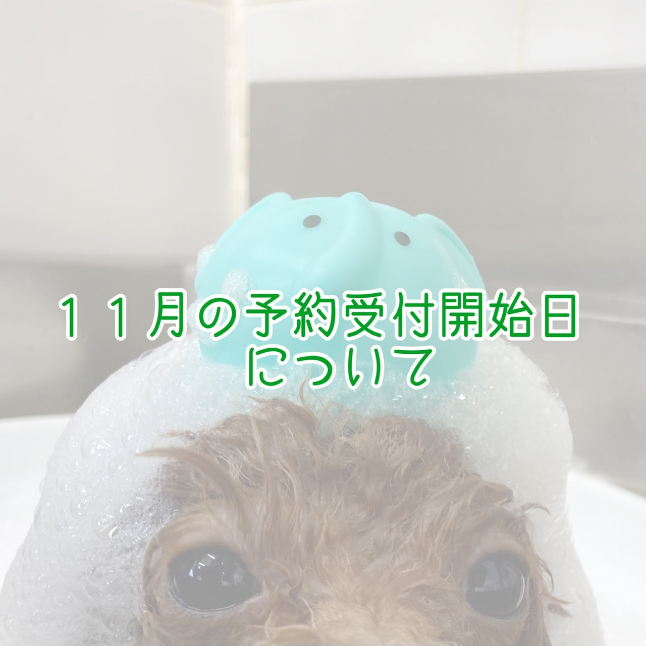 １１月の予約受付開始日について