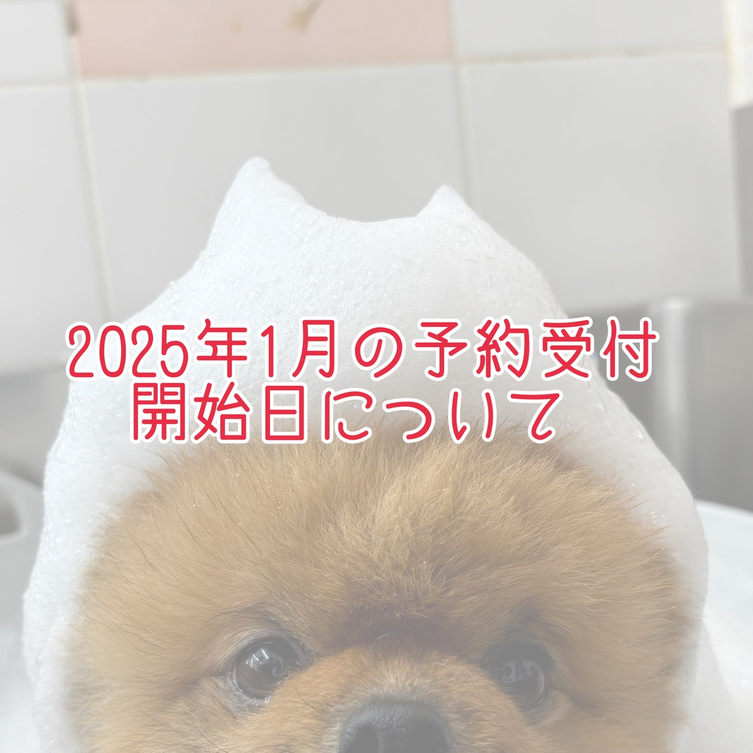 ２０２５年１月の予約開始日について