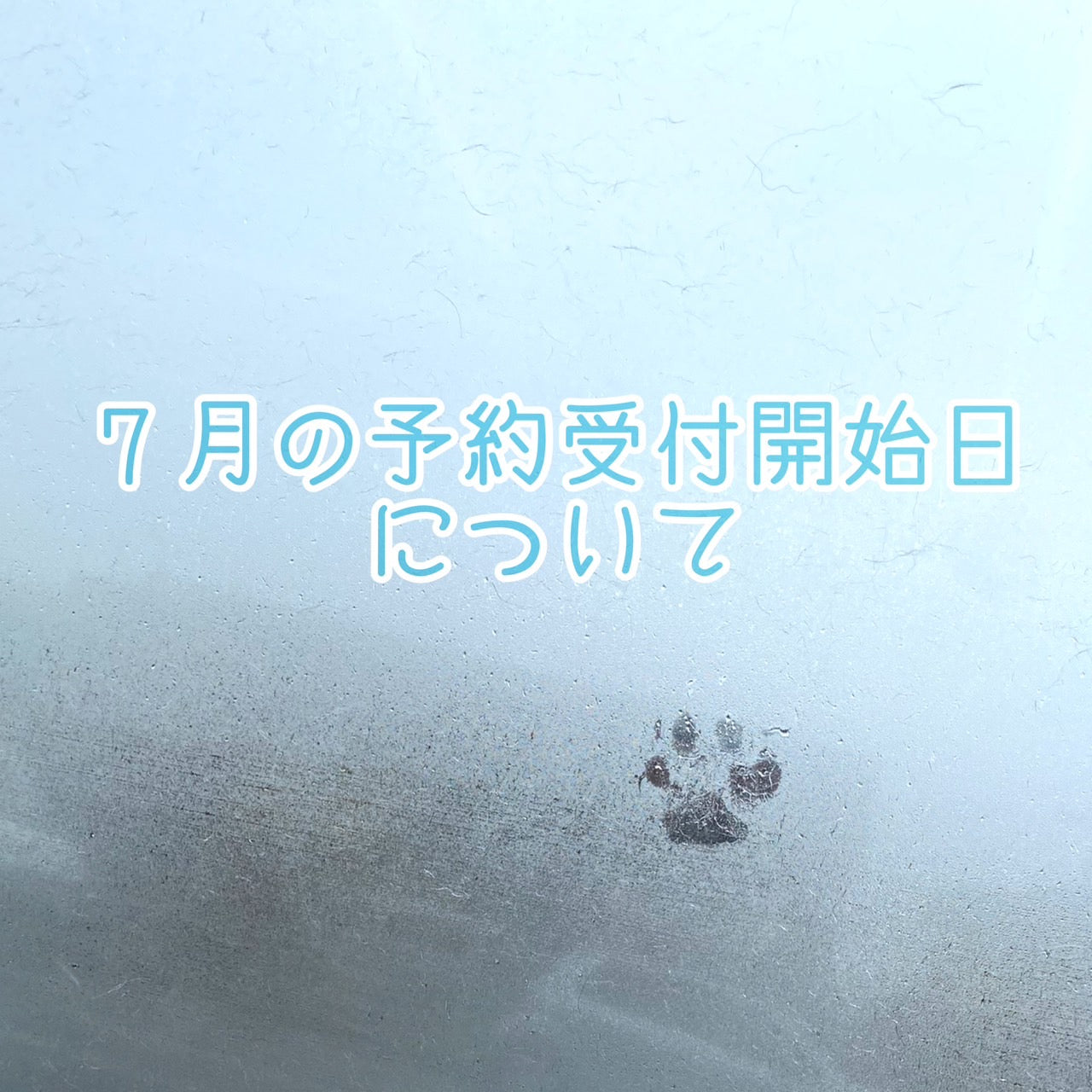 7月のご予約受付についてお知らせ