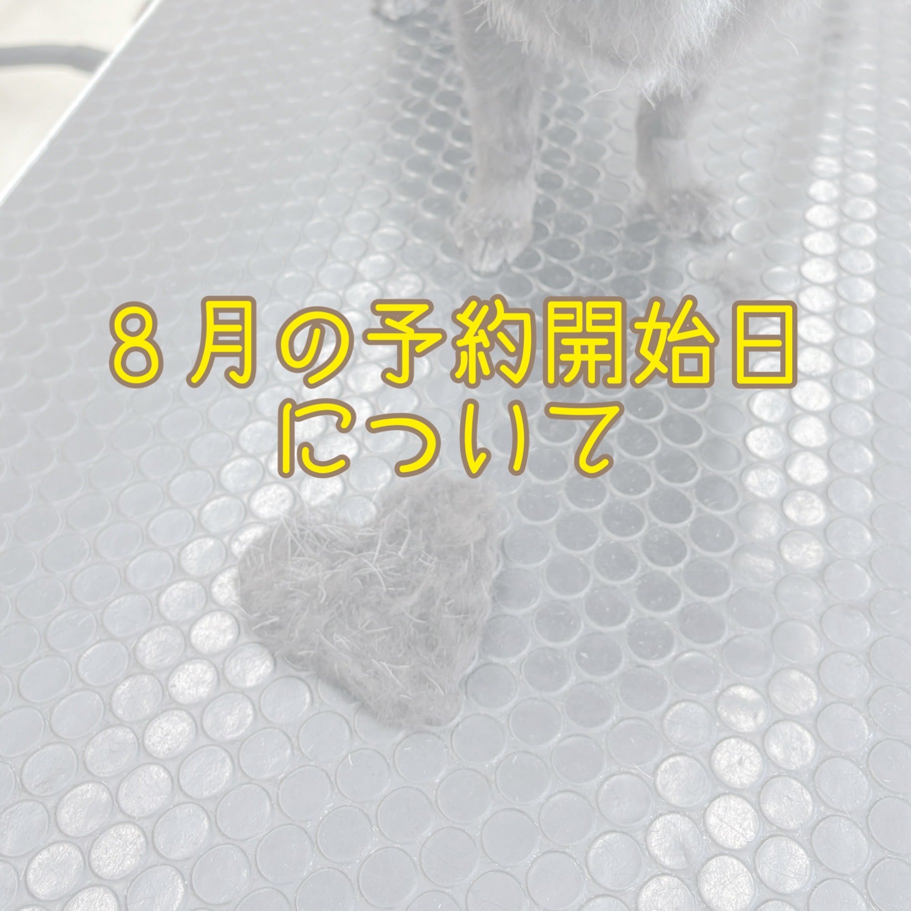 ２０２４年８月の予約開始日について