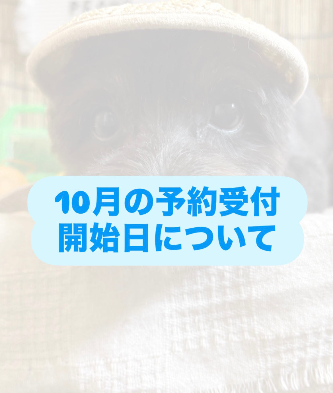 2025年10月の予約開始日について