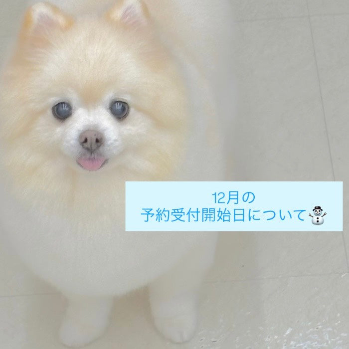 2025年12月の予約開始日について