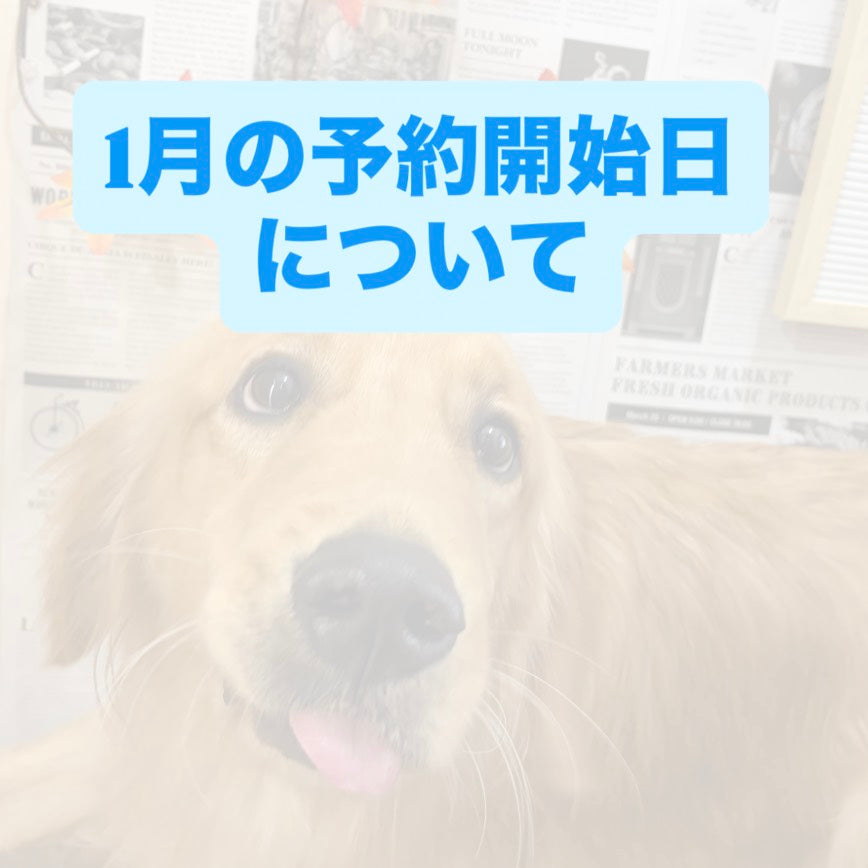 2026年1月の予約開始日について