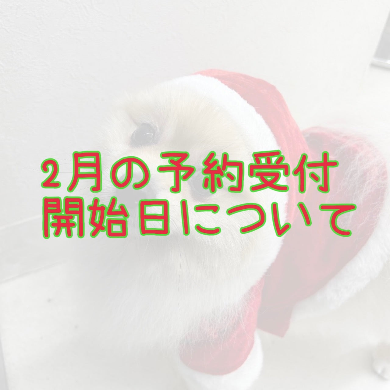 2026年2月の予約開始日について