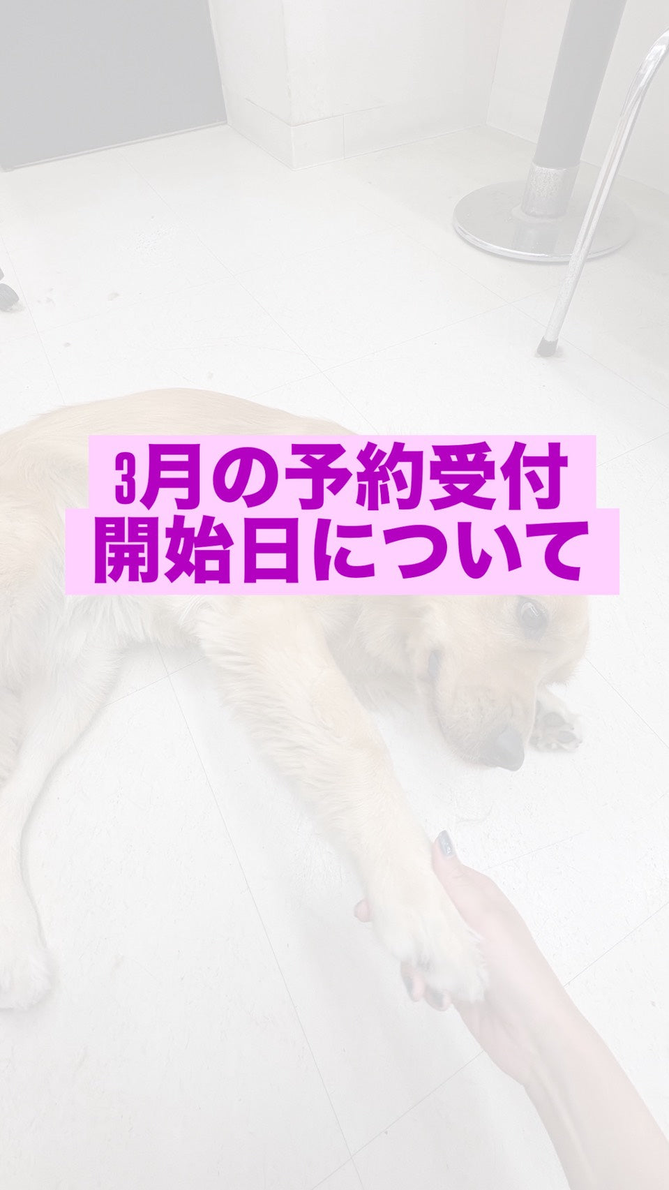 2026年3月の予約受付開始日について