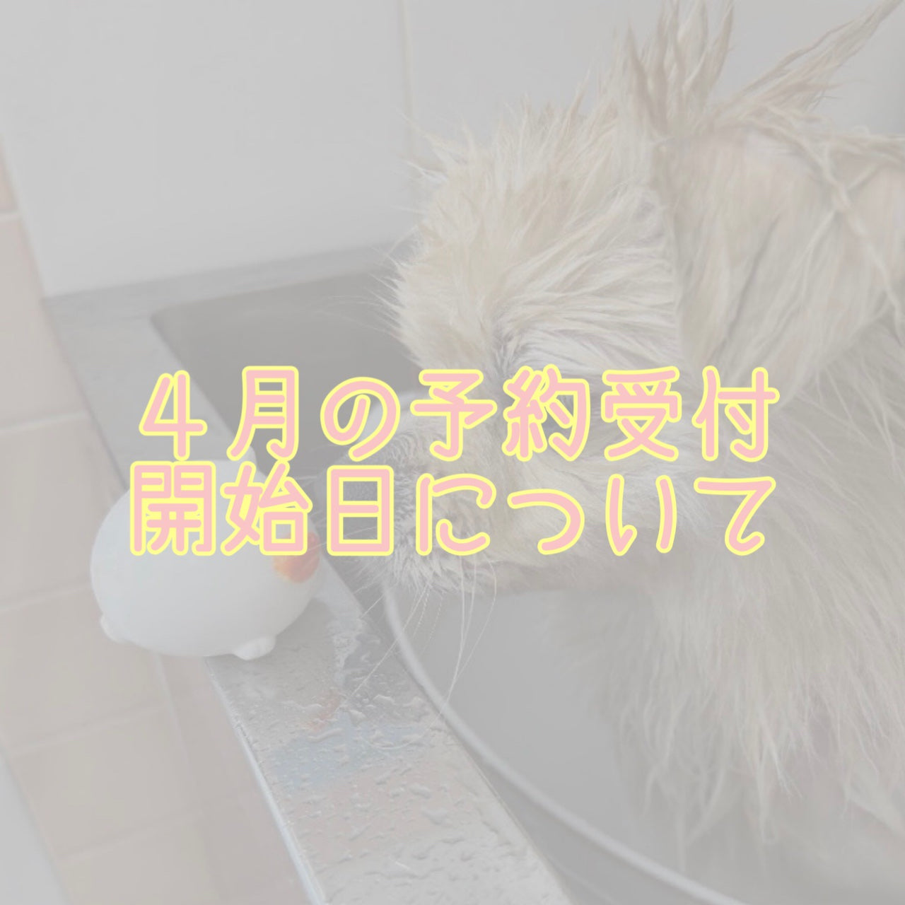 2026年4月の予約受付開始日について