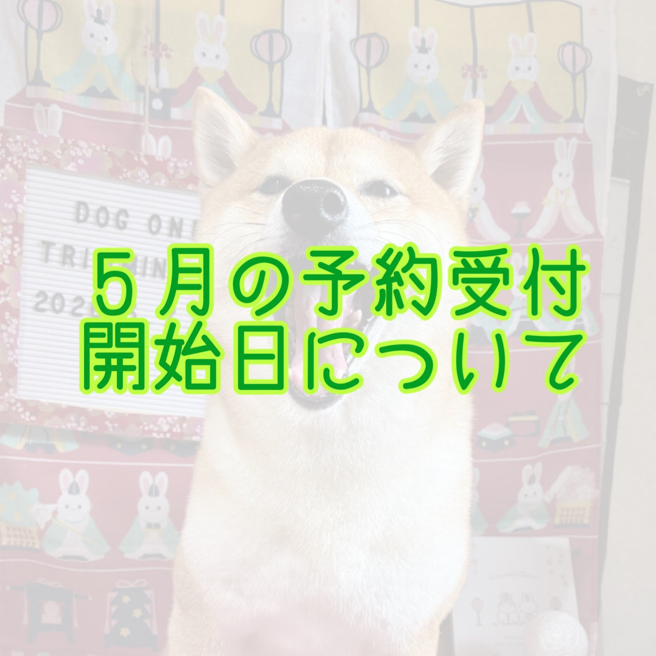 2026年5月の予約受付開始日について