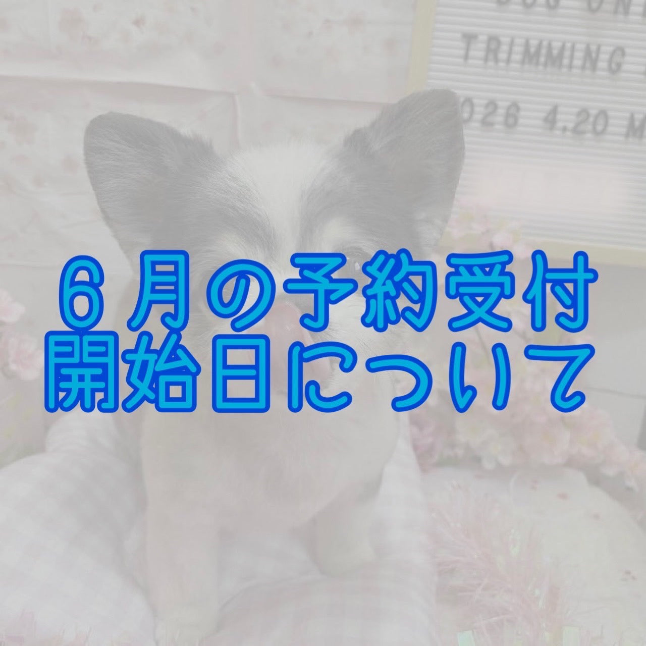 2026年6月の予約受付開始日について
