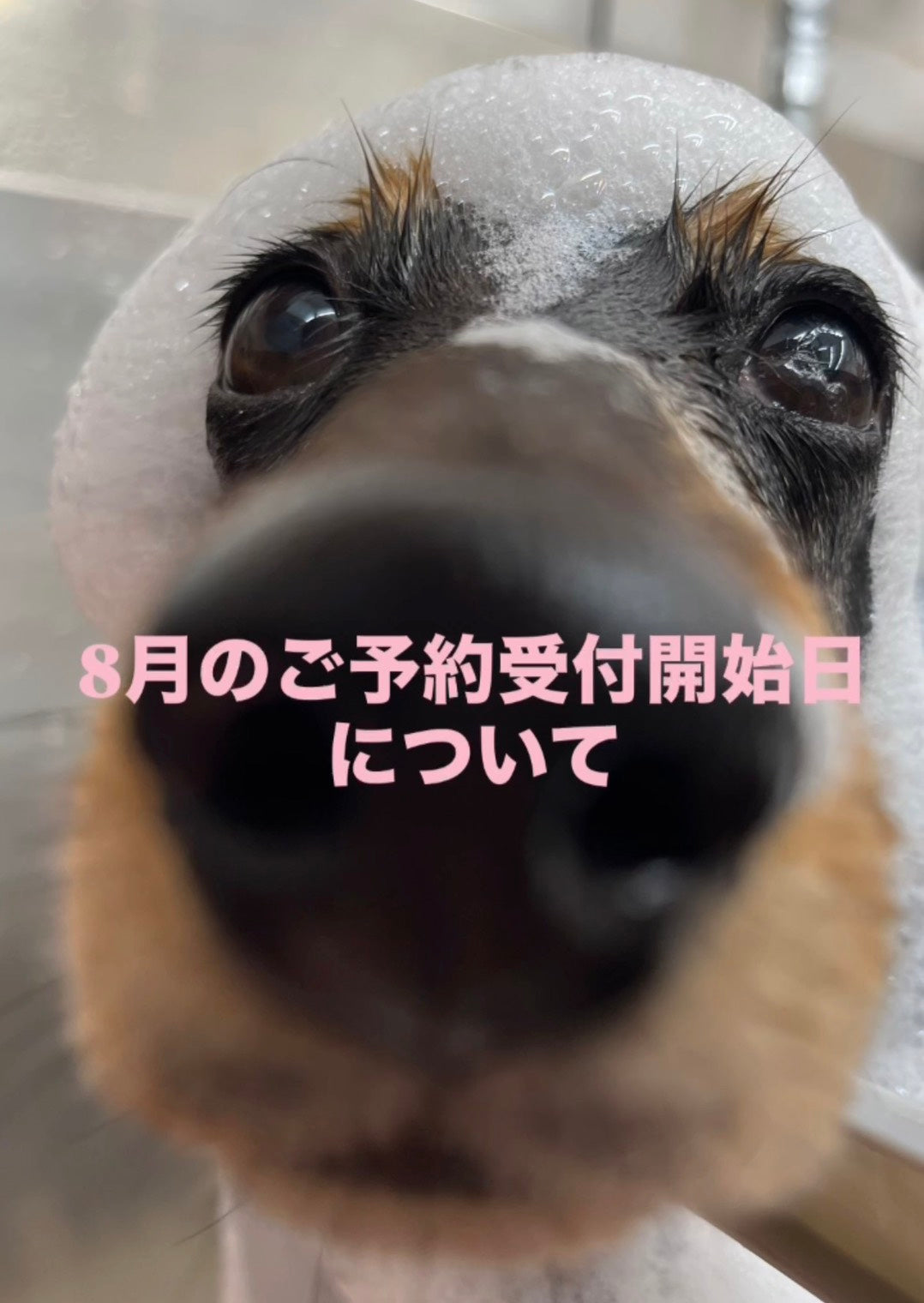 2026年　8月の予約受付開始日について