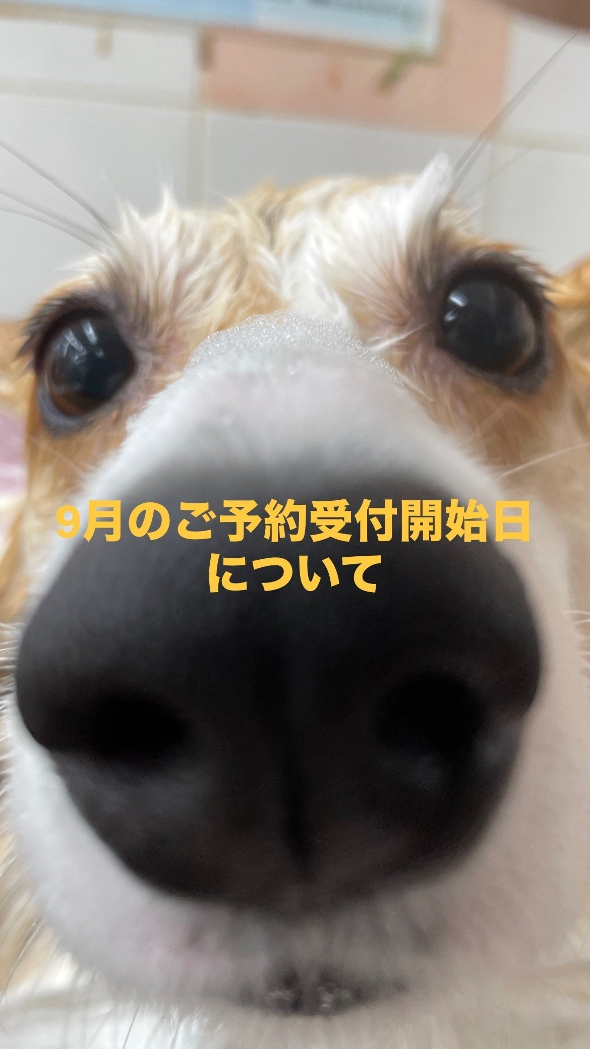 2026年9月のご予約受付開始日について