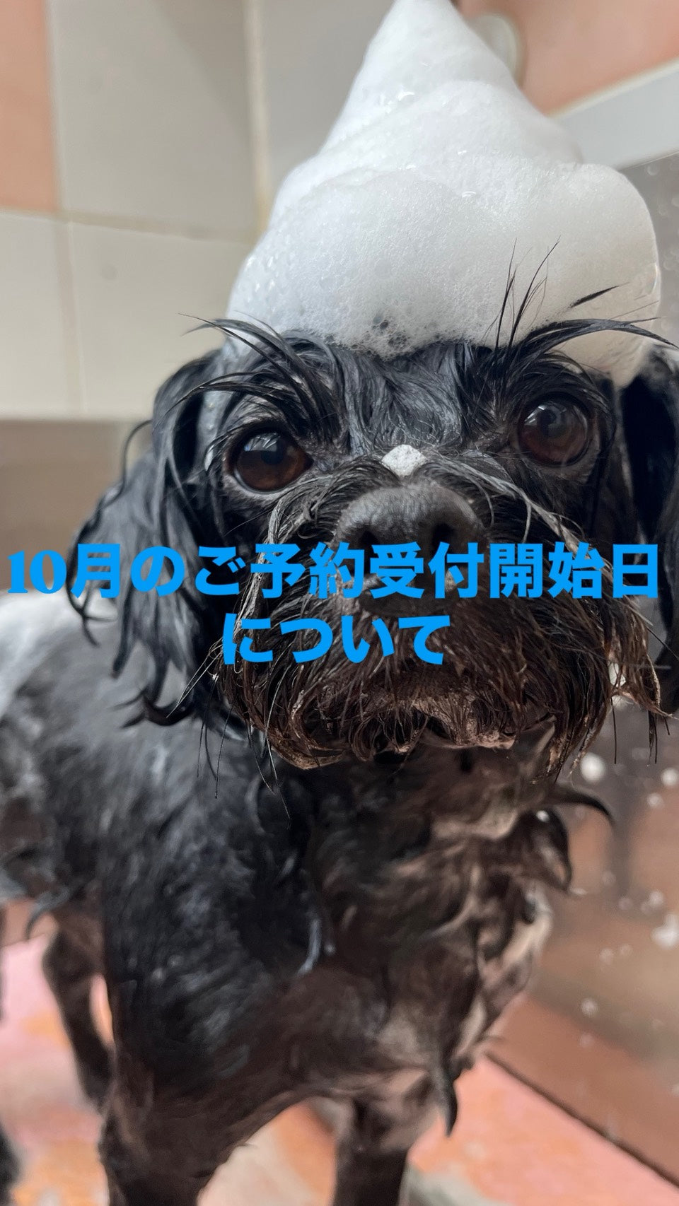 2026年10月のご予約受付開始日について