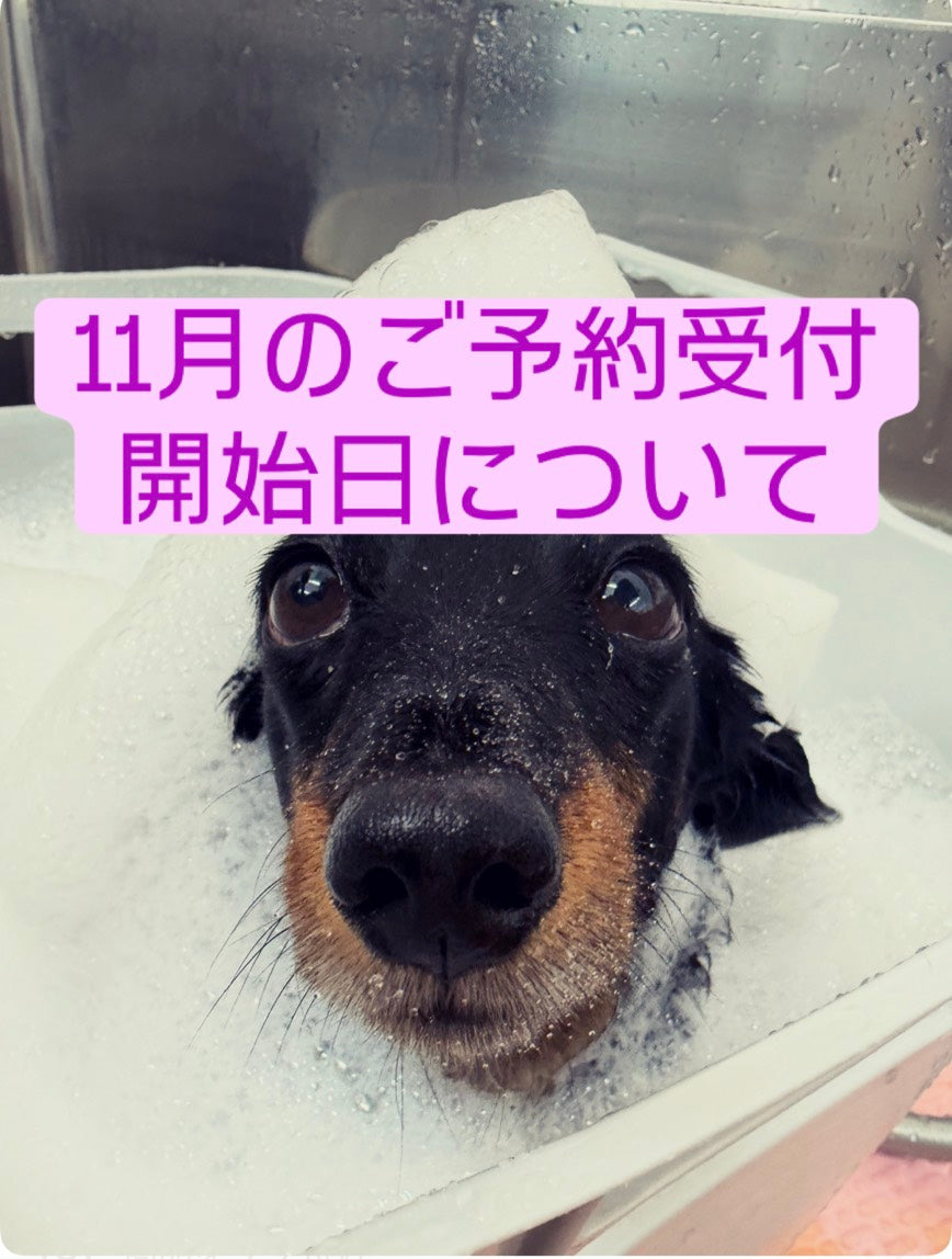 2026年11月のご予約受付開始日について